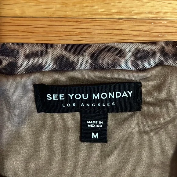 Leopard Print Mesh Long Sleeve Top - Picture 7 of 8